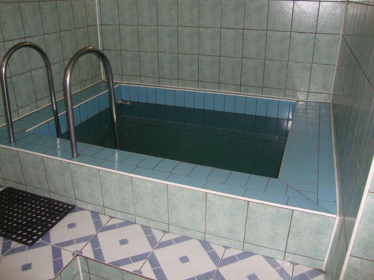 Apartamento Domik S Saunoy Na Ogiyenko Kamianets-Podilskyi Exterior foto